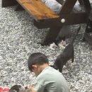 칠백민박 네이버블로그