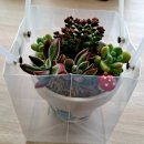 봄다육아트 이미지