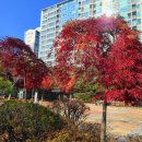 가현어린이공원 이미지