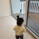 하몽하몽 키즈풀빌라 | 홍천 '하몽하몽키즈풀빌라' B동 | 19개월·8개월 아기랑 숙소