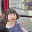 테마모텔 | 부산 아이와 가볼만한곳 송도 해상 케이블카 요금 정보 부산에어크루즈 코스추천