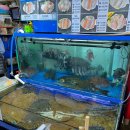 로또수산 이미지