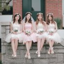 메이블라썸 이미지