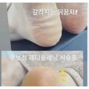 인더블룸 이미지