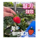 민앤팜 네이버블로그