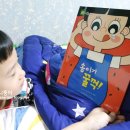 송이전집 이미지
