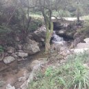 나만의계곡 이미지