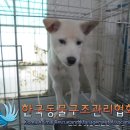 정장로 이미지