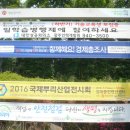 오치초교 이미지