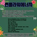 노지태양광발전소 이미지