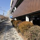 아이왁싱 | 신림왁싱 페이스 관리 남자 디자인 눈썹 왁싱 후기｜아이브로우바메이킹 신림점
