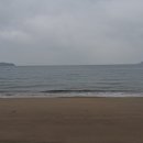 이일레3 네이버블로그