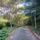 선소어촌체험마을화장실 이미지