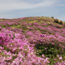 5월5일 무등산 철쭉산행 이미지