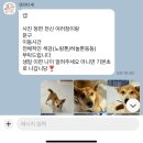 댕파티셰 이미지