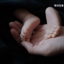 해와달출장산후조리 네이버블로그
