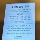 판교 호캉스 나인트리 바이 파르나스 수영장 필로우 서비스 후기