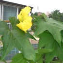 은비네농장 이미지