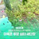 쉼터조성 | 기흥 산책길 추천!마북초등학교 후문 정원형 쉼터 다녀온 후기🍃