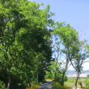 매곡천 자전거길 이미지