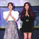 찬미 이미지