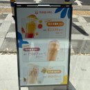 공차제주연동점 | 제주 연동 밀크티 맛집 카페 차백도 중국 버블티 추천 메뉴