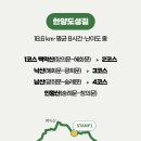 한양레이스