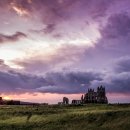 금지옥엽 이미지