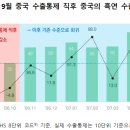 중국 흑연 수출통제의 영향 및 대응방안 이미지