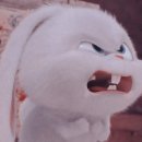 J하우스 이미지