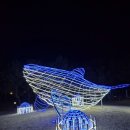 다대포 꿈의 낙조분수 | [다대포 꿈의 낙조분수]빛광장 꿈의 루미나리에 방문 후기(3월 초까지 진행)