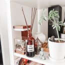 코리앤더 | 스웨덴 라이프스타일 브랜드 라부르켓 룸 디퓨저 코리앤더 후기