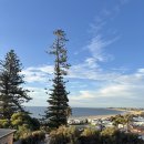 타이어 메카닉 | 호주 중고차 구매 후기｜구매 절차, 비용, 등록, 주의사항 총정리