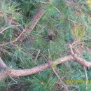 해송농장 이미지