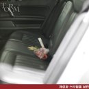 맥스톰 이미지