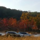 건축사사무소 미소 이미지