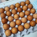 안일농장 이미지