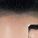 라인디자인 이미지