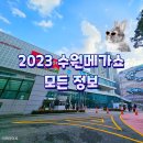 광교팜약국 | 2023 수원메가쇼 팔도밥상페어 50만원 쓰고 온 구매꿀팁 상품추천 주차