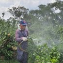 월림농장 이미지