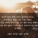 신씨네농가 | 신씨네농가[생생정보통신]방송탄날