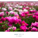 선원 경로당 이미지