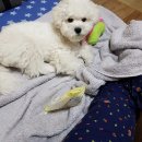 2019.02.23 대구 실내캠핑 투엑스 호텔