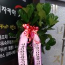 엣지코인노래연습장 이미지