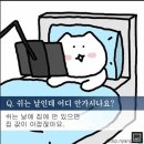 몰리짐 이미지