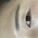 예쁘다 개 | 전주 효자동 속눈썹 오늘도 예쁘다 뿌리교정블랙틴팅 속눈썹펌 전문(2주 지속력 후기)