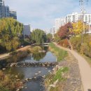 수원-0498 이미지