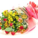 팽성초등학교 이미지