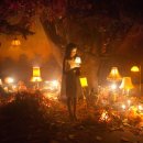 브룸(BROOM) 이미지