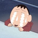 시흥탑애견미용학원 이미지